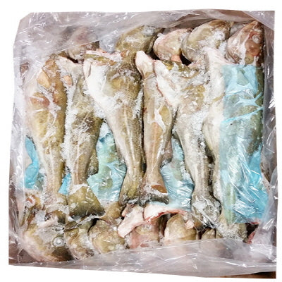 PAT007 : 대구 : 23Lbs : FZN GUTTED COD
