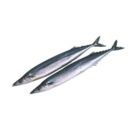 18880 냉동꽁치 9.3kg FZN PACIFIC SAURY 9.3KG(LL)