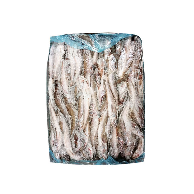 FP005 : 생태 15kg : FZN SILVER HAKE(WHOLE)