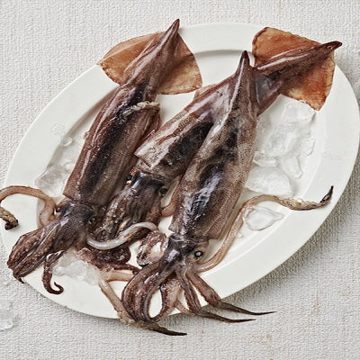 Fzn Squid (Size M 3-500g) 10.3kg 물오징어