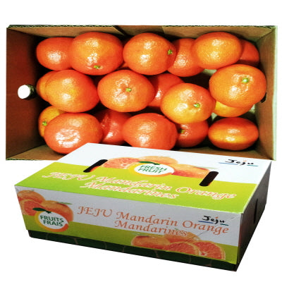 Korean Mandarin Orange(Jeju) 5Lbs 제주 감귤