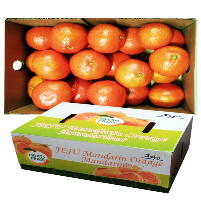 KMO01 제주감귤 5Lbs ETC KOREAN MANDARIN ORANGE(JEJU)