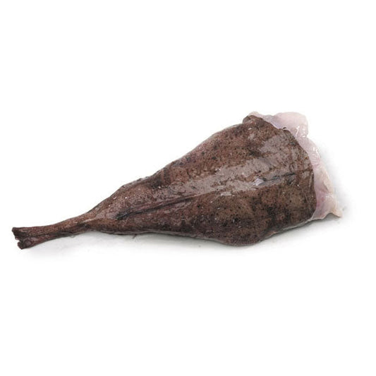 PAT009N : 아구 : 10kg : FZN MONKFISH TAIL