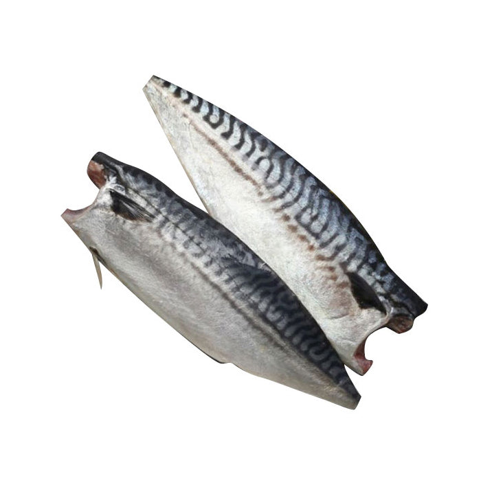 PAT020 : 자반고등어 : 10Lbs : FZN SALTED MACKEREL FILLET