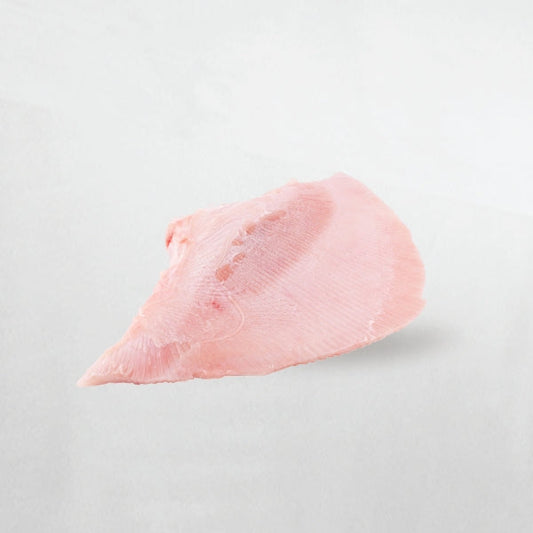 PAT033 : 홍어 : 10kg : FZN SKATE WING